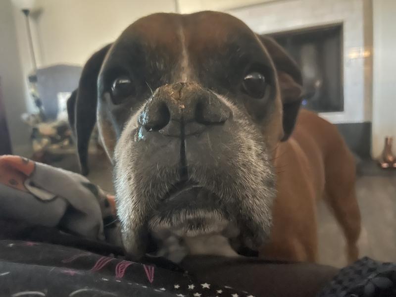 Hello from Hank in Texas