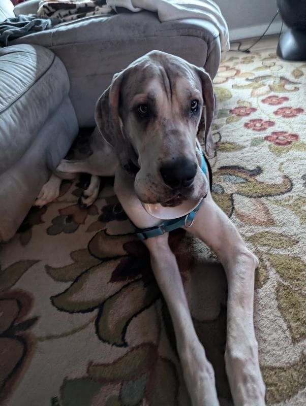 Before I realized it was stuck