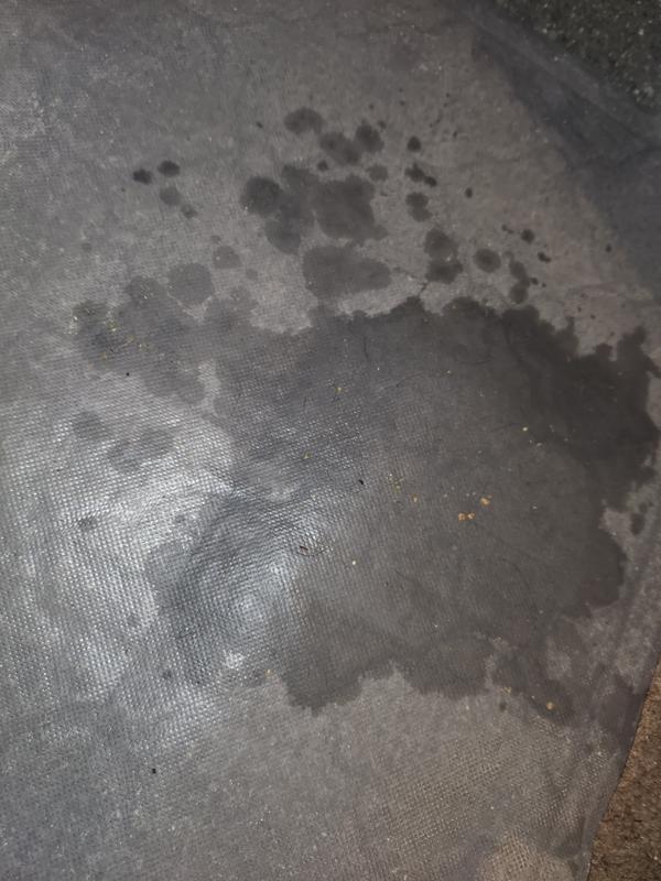 ALLABSORB Cat Litter Mat, Grey