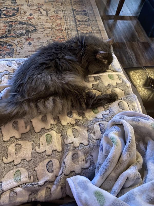 My sweet Sally Gal! 💔