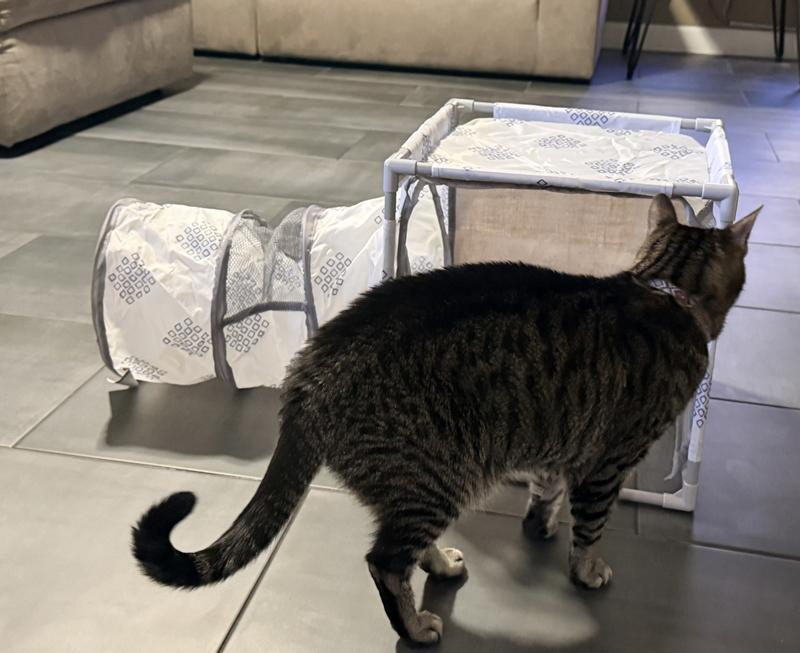 Our big boy is to big for it