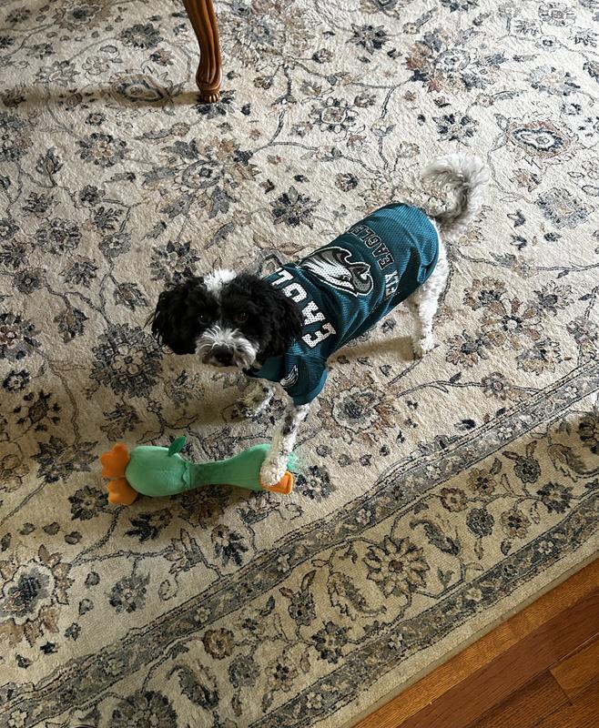 Piper loves her Jersey! Go Birds 🦅