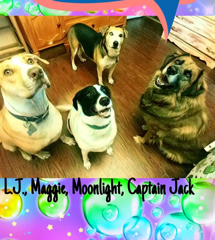 Discontinued MILKBONE Large MaroSnacks Dog Treats, 58oz box