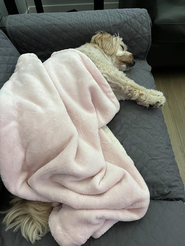 My furry Peanut truly enjoys her pink ASPCA blanky!