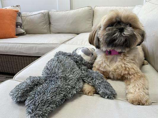 Maya and her sloth friend