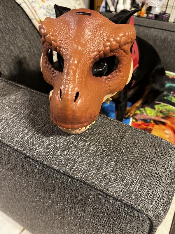 Whimzees can transform a wild Dinosaur to a sweet one!