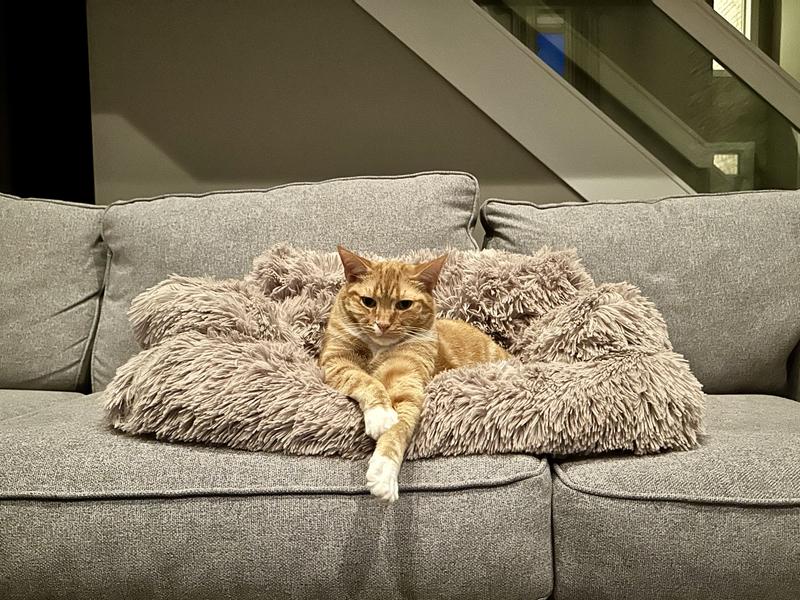 Total comfort