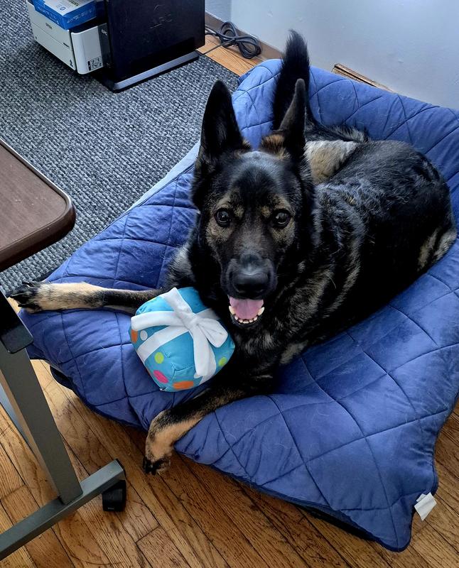 Tessa's 4th Birthday!