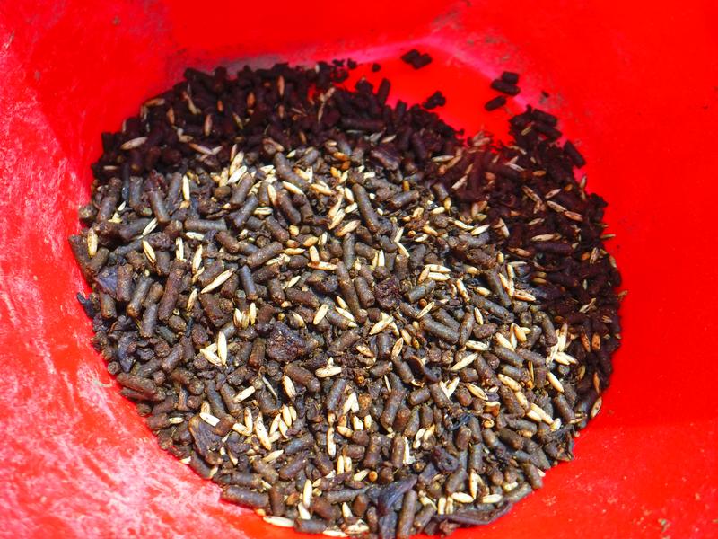 It's a clean formula with minimal dust. Highly palatable and fresh-smelling.