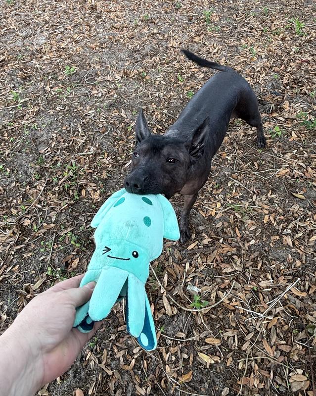 Tug