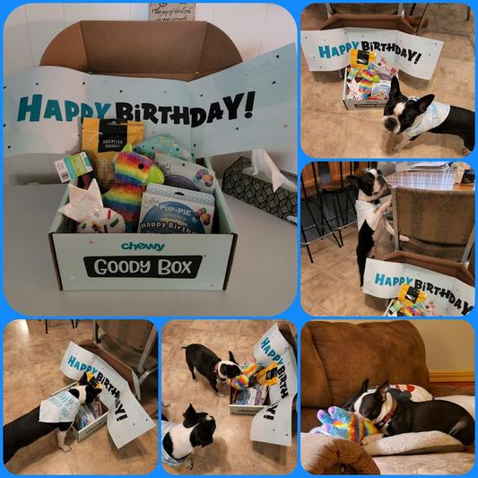 GOODY BOX Birthday Dog Toys & Treats, X-Small/Small 