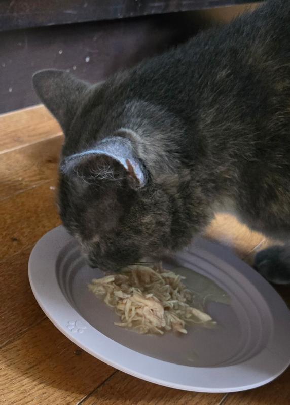 Let's give it a try!