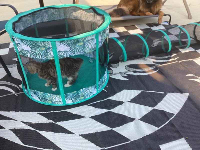 FRISCO Mesh Outdoor Popup Cat Round Playpen & Tunnel, Leaf, 36in L x