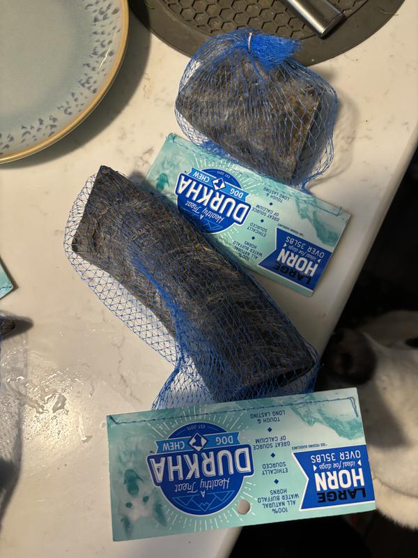 So these are both large?