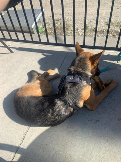 Occupied for hours, even on the patio of a busy bar!