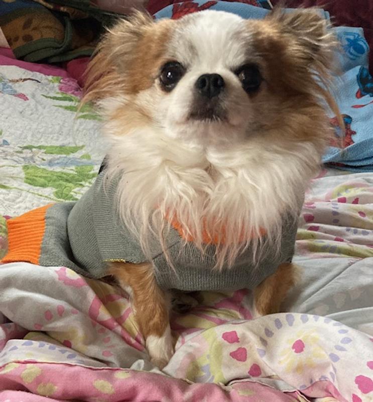 I thinks I looks handsome in this. What do you think? xoxo Zave