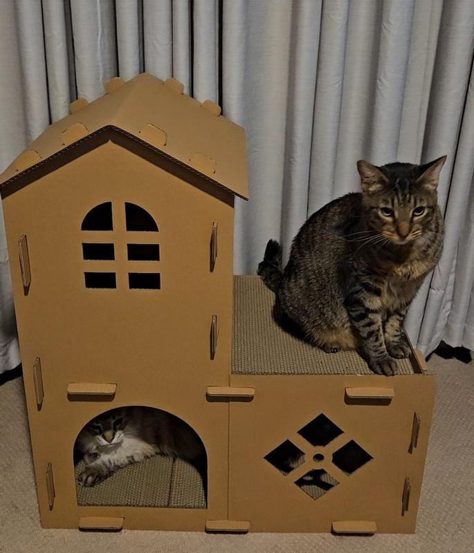 Romeo loves it!