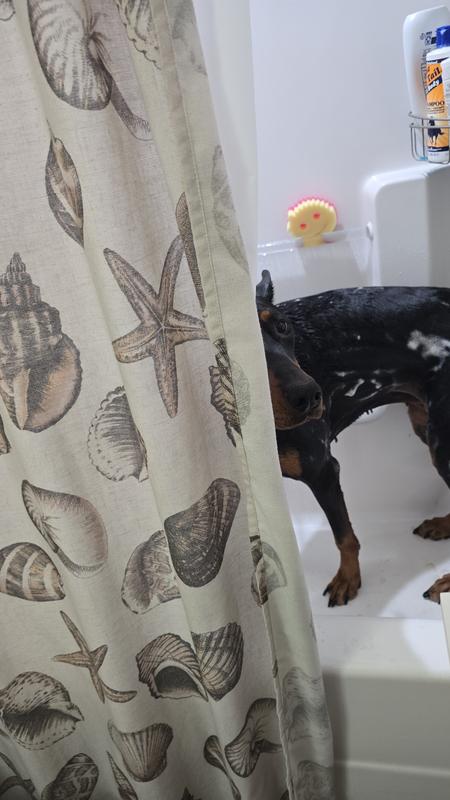 The stinky Doberman for reference