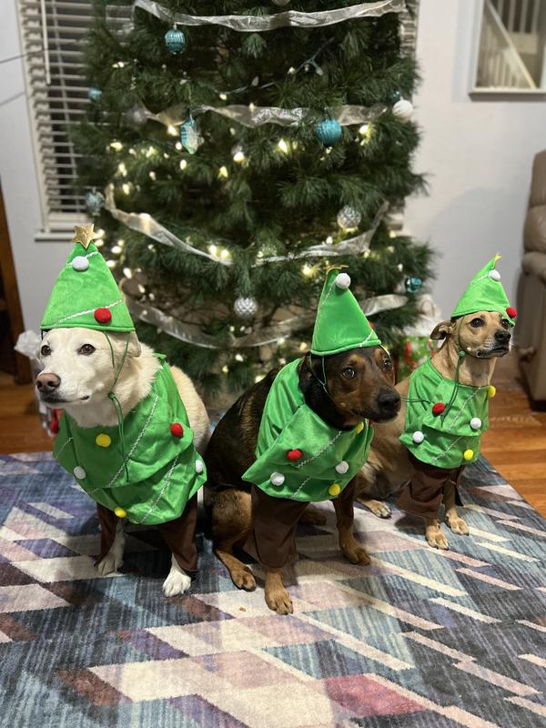white christmas dresses Santa Christmas Dog Party Dresses | Poshdoglife.com main image 1