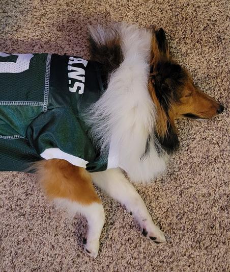 Only 10 months old and already into sports