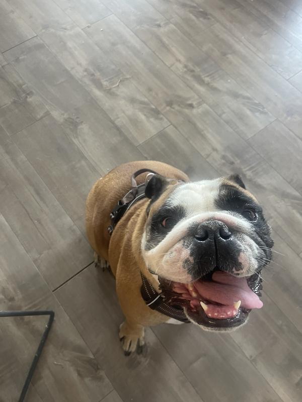 He thinks he looks so handsome.