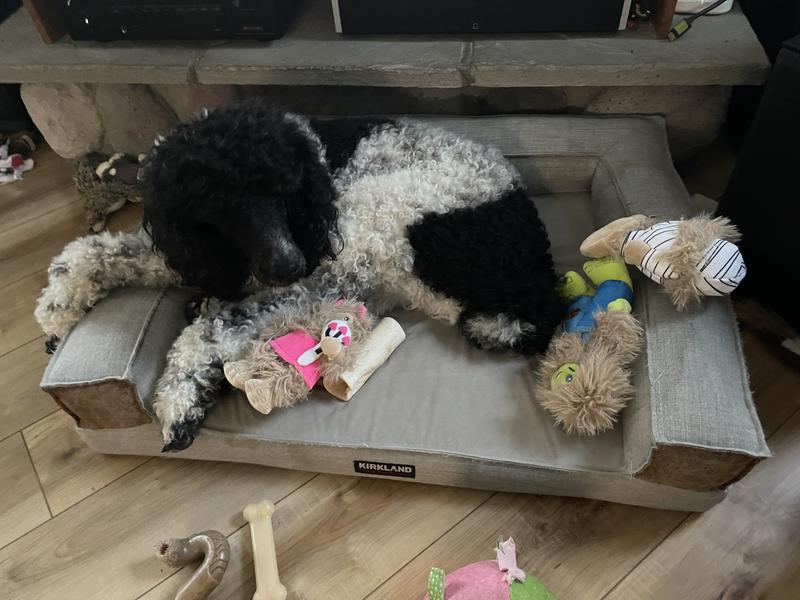 He thinks it’s fun to collect them all and sleep with them.