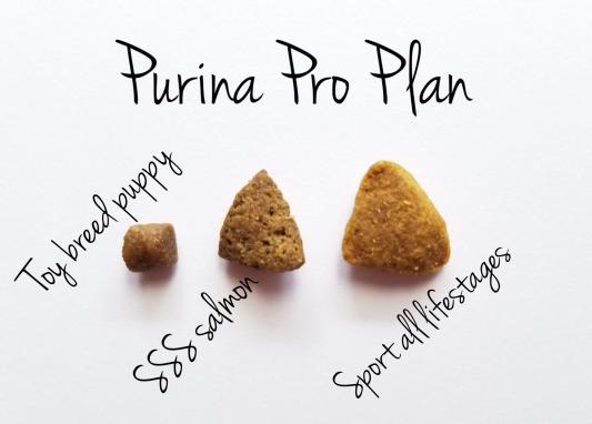 Kibble size comparison