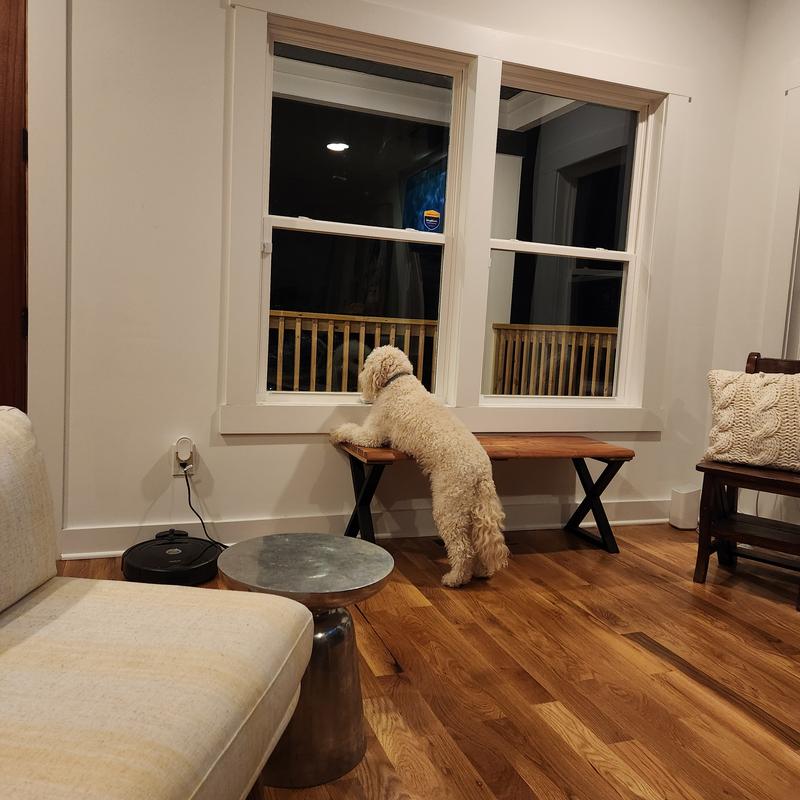 Waiting on the next delivery