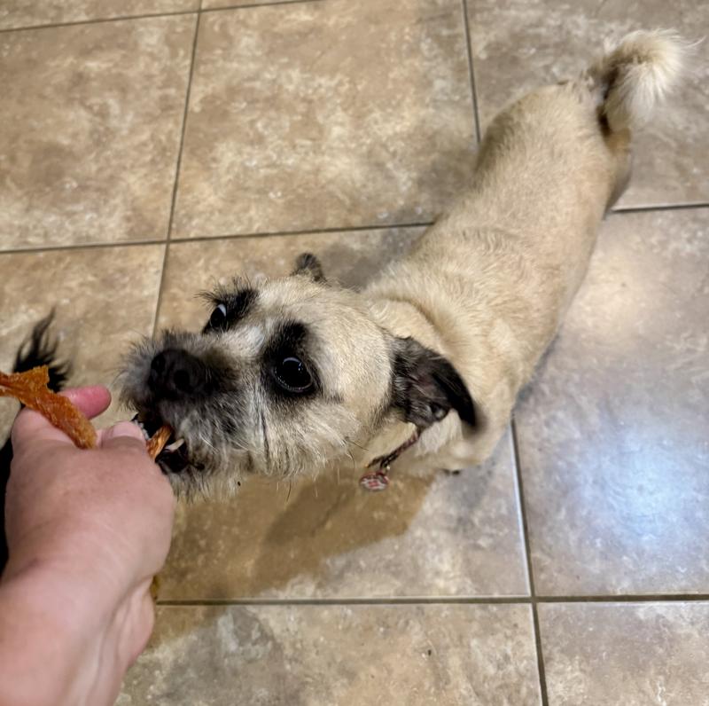 23lb pug mix enjoys them too