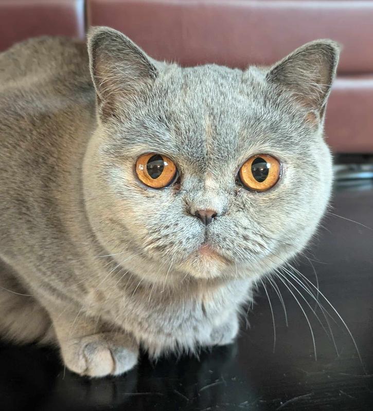 Cobweb is happy and I’m happier.