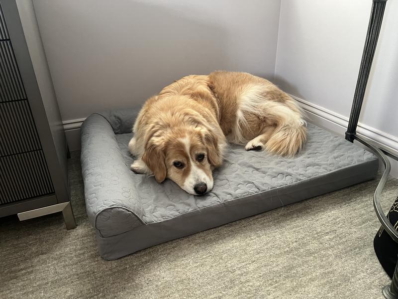 The large bed is perfect for our 42 lb golden mix