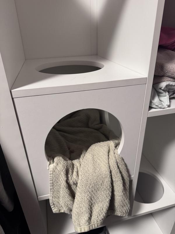 Added a towel and some treats