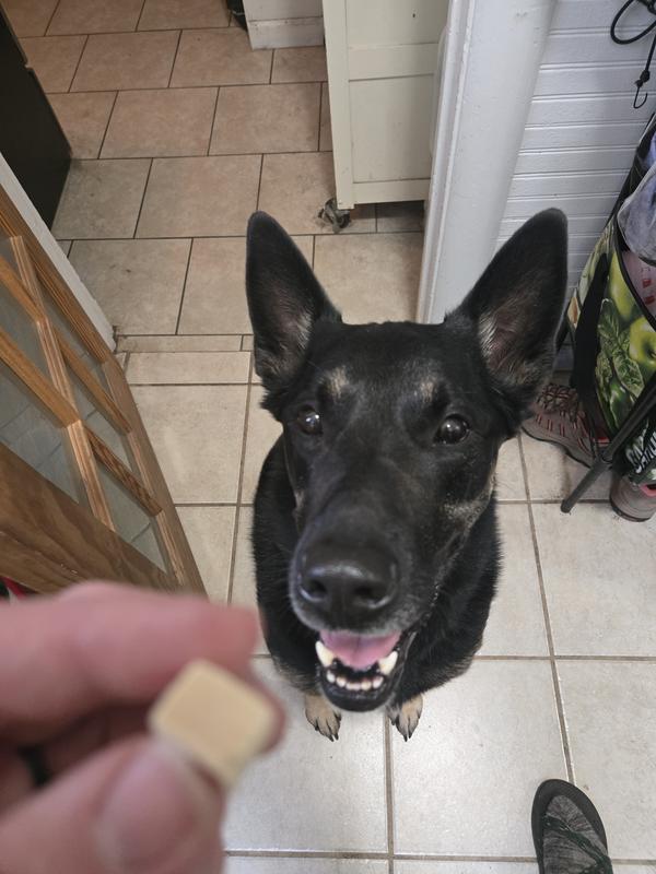 Happy dogs eat chicken.