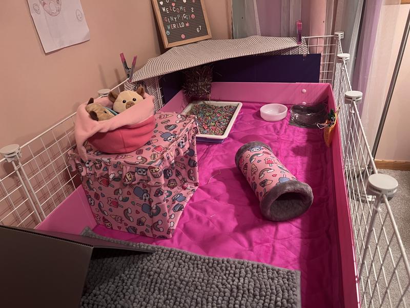 Basic setup before the piggies arrived :)