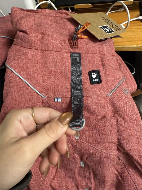 Has built in leash attachment (plastic and not safe)