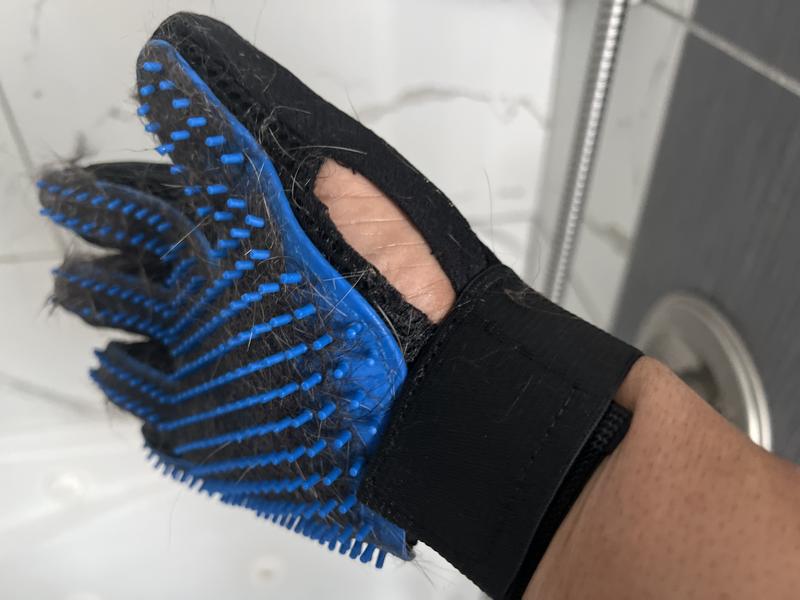 Dog grooming glove outlet asda