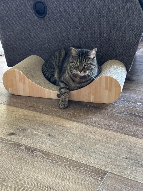 Having just rolled all around and licking up the catnip spray