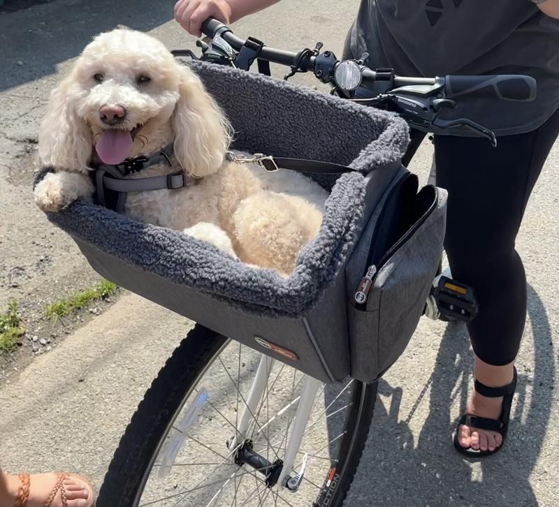 Dog bike basket 20 lbs hot sale