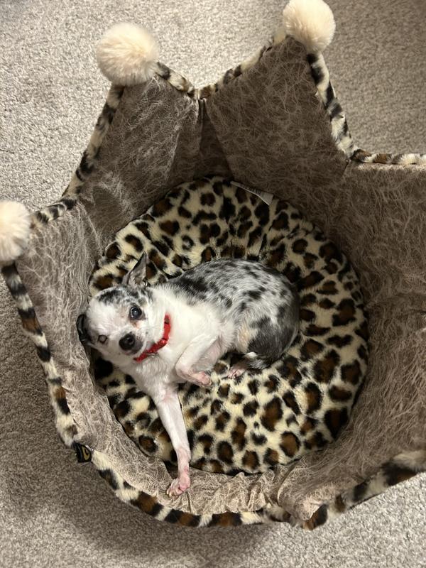 ‘’Mama, look what Santa brought me’