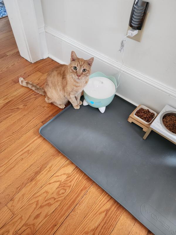 TOM SAYS, "Thank you Chewy!"
