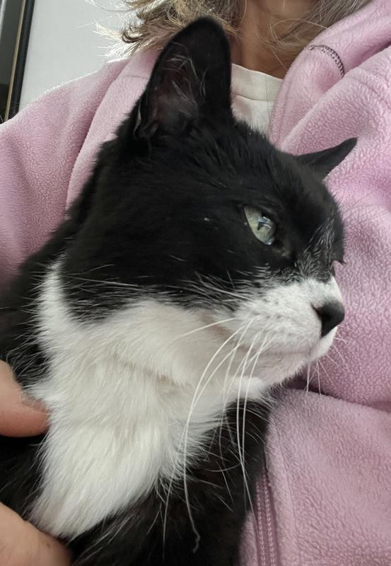 nearly 18 years old!