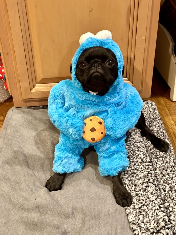 Cozy the Cookie Monster