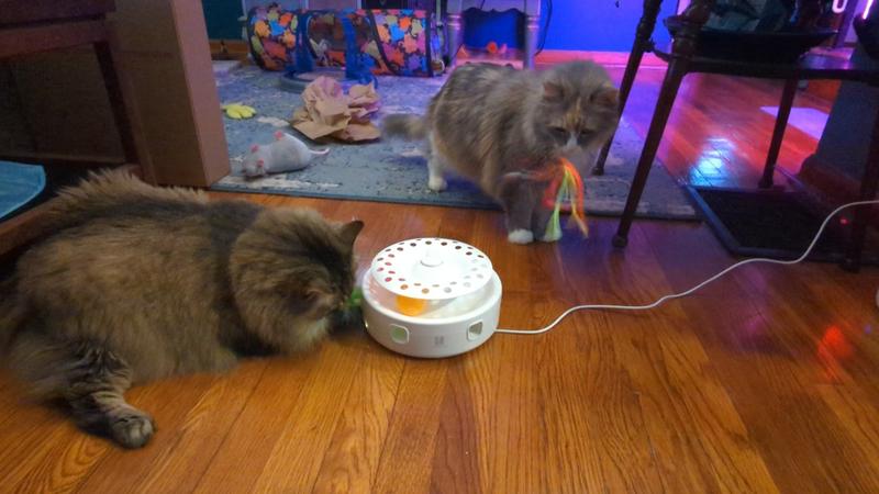 They play at the same time