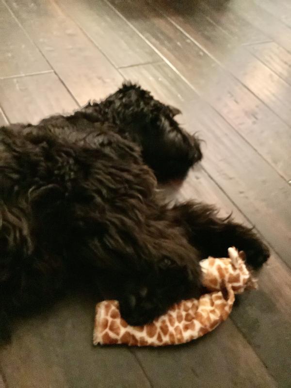 Geoffrey time