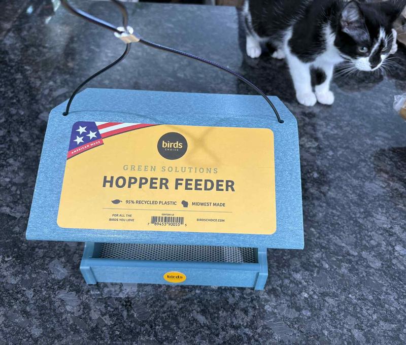 Little Rue checking out the new feeder. She loves watching the birds!