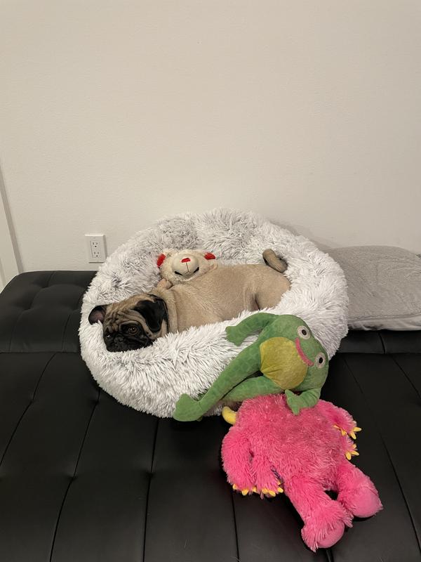 Hanging out with his favorite toys