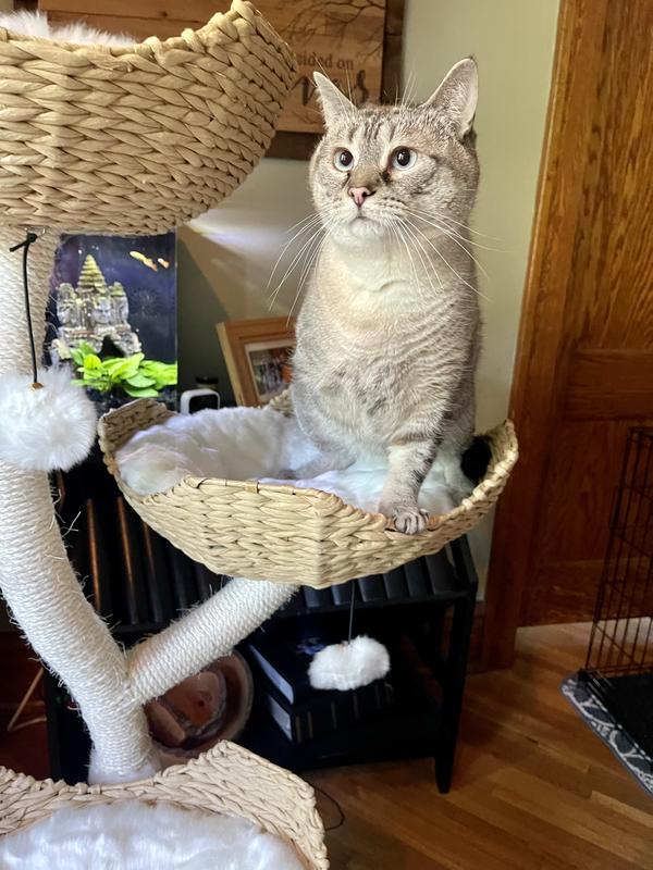 MAU LIFESTYLE Ivy 3, 53in Modern Cat Tree, Natural