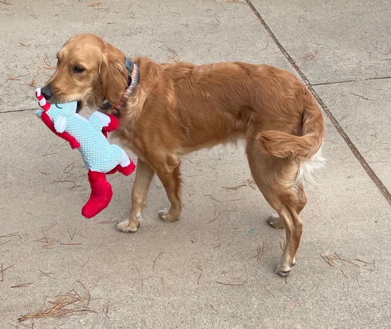 Love at first sight.