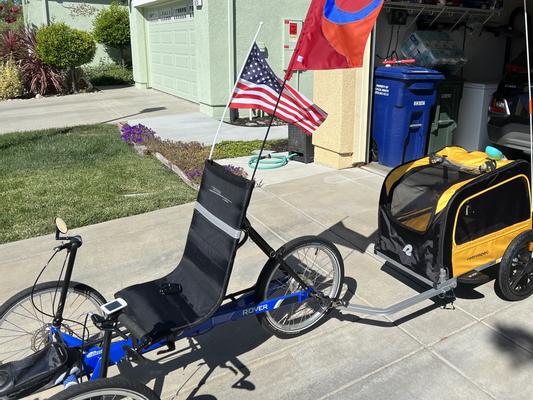 Rover Waggin' Pet Bike Trailer  Pet bike trailer, Dog bike