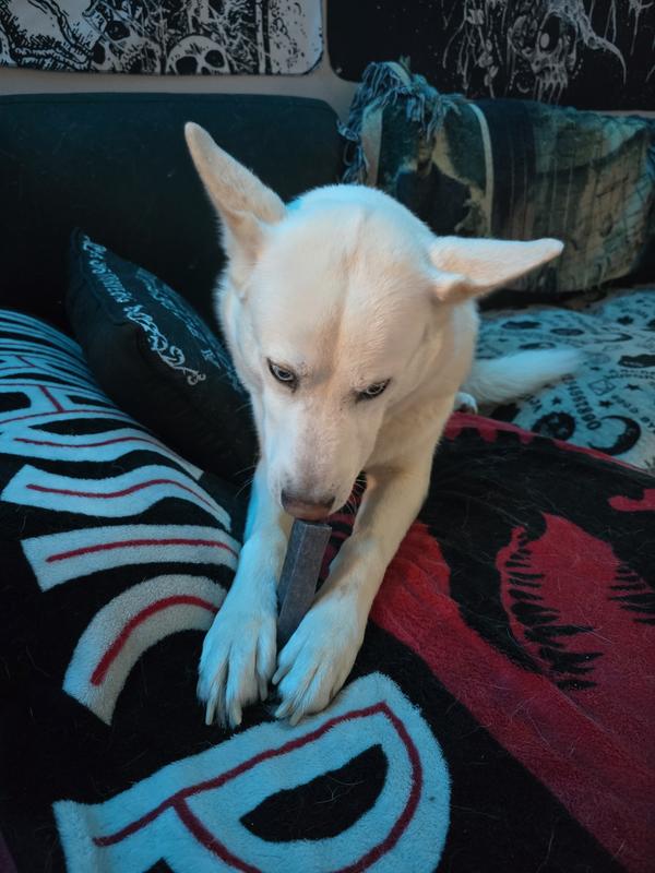 Easy to hold Chew Bar